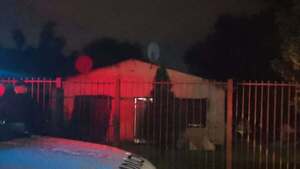 Hombre es detenido por crítico estado de un perro que no sería suyo
