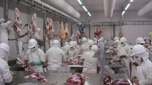 EEUU desplaza a Israel y se ubica como segundo mayor comprador de carne paraguaya en abril