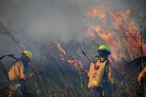 Paraguay figura entre los países con más incendios forestales de la región, según PNUD - Nacionales - ABC Color