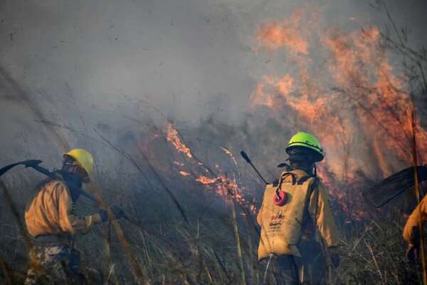 Paraguay figura entre los países con más incendios forestales de la región, según PNUD - Nacionales - ABC Color