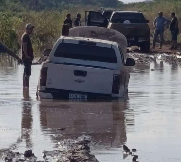 Ganaderos del Alto Paraguay urgen al Gobierno medidas para no perder acceso a créditos ante aislamiento - Noticias del Chaco - ABC Color