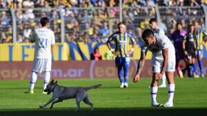 Vio en Instagram a su cachorro fugitivo que paró un partido de Primera en Argentina