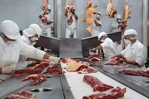 Fuerte caída interanual en la faena bovina: 66.000 cabezas menos en abril - Economía - ABC Color