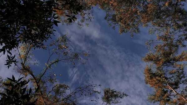 Persistirá el calor y anuncian lluvias desde el jueves