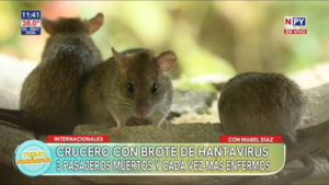 Brote de hantavirus deja muertos y mantiene aislado a crucero en alta mar