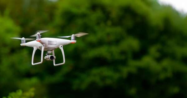 Diario HOY | Usarán drones para detectar casos de maltrato y abandono animal en Paraguay