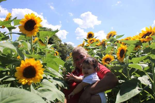 Caacupé propone una experiencia entre girasoles y rosas para celebrar el Día de la Madre - Nacionales - ABC Color