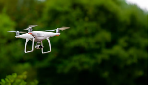 Usarán drones para detectar casos de maltrato y abandono animal en Paraguay