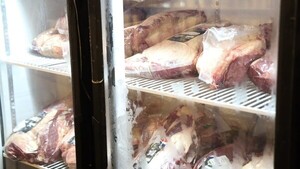 ¡Hendy la crisis! La gente madruga y pesca por carne barata en la Costanera