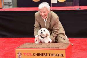 Glenn Close dejó sus huellas y las de su perrito en Hollywood - Gente - ABC Color