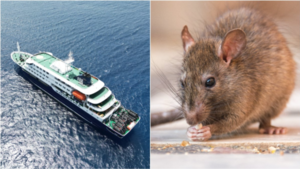 Brote de hantavirus en crucero de lujo: confirman tres fallecidos y cepa muy contagiosa