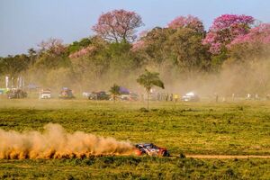 Paraguay e Italia aceleran alianzas estratégicas rumbo al Rally del Paraguay 2026