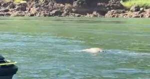 Diario HOY | Joven que se encontraba desaparecido fue hallado sin vida en el río Paraná