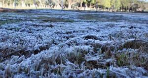 Emiten alerta agrometeorológica ante el descenso de temperaturas previsto