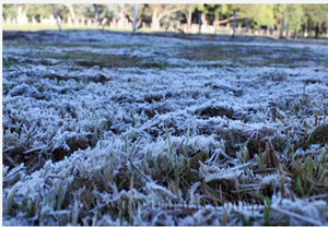 Alerta por heladas en Paraguay: MAG advierte a productores sobre brusco descenso de temperaturas
