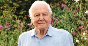 La Nación / David Attenborough cumple 100 años con nueva serie sobre vida salvaje
