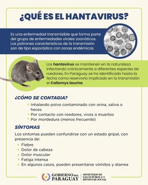 Hantavirus en Paraguay: situación actual, transmisión, síntomas y prevención
