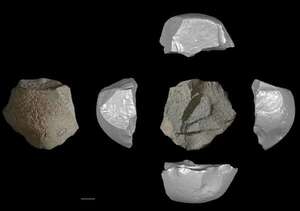 Creatividad del Homo juluensis en la adversidad: herramientas de 146.000 años - Ciencia - ABC Color