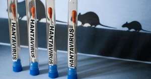 La Nación / Del covid al hantavirus, la nueva amenaza mortal que preocupa a Paraguay y al mundo