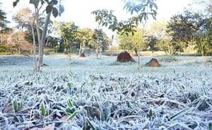 Descenso de temperatura y escarchas en gran parte del país, anuncian