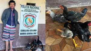 Se cancela el vorí vorí: Robó gallinas del mercado de Pedro Juan y terminó preso