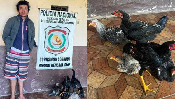 Se cancela el vorí vorí: Robó gallinas del mercado de Pedro Juan y terminó preso