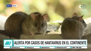 Hantavirus: alerta regional tras hallazgo en crucero internacional