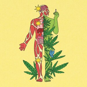Lo que los médicos quieren que sepas sobre el uso medicinal de la marihuana