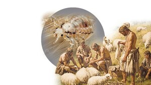 El Neolítico Origen de las enfermedades que saltan de animales a personas