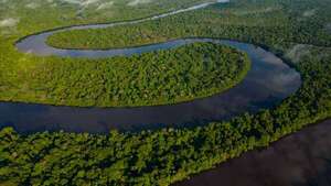 Científicos advierten que la Amazonía podría dejar de ser selva tropical - Ciencia - ABC Color