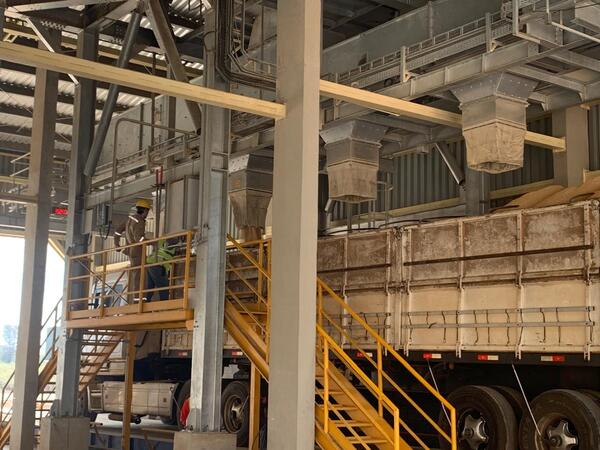 Industrialización de granos alcanzó niveles récord en el primer trimestre