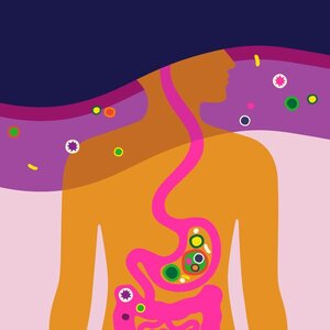 ¿Niebla mental? Podría ser tu intestino
