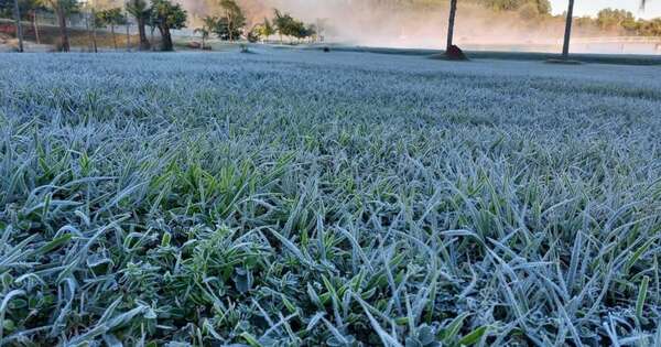 Diario HOY | Paraguay registró 1.9° de temperatura hoy