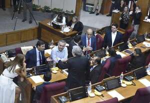 Senado analizará proyectos millonarios y leyes al borde de la sanción automática - Política - ABC Color