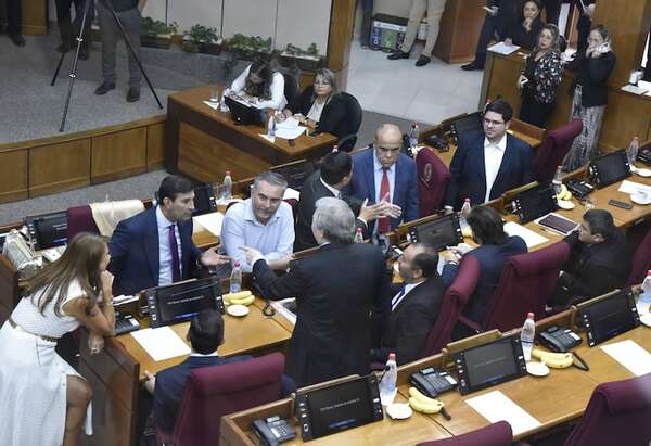 Senado analizará proyectos millonarios y leyes al borde de la sanción automática - Política - ABC Color
