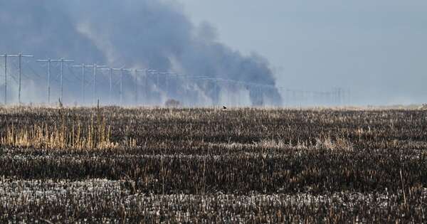 La Nación / Científicos prevén un año “particularmente severo” de incendios forestales