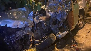 Familia que venía de Argentina murió atrapada en su auto