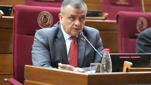 Liseras volvió a jurar en el Senado sin renunciar a Conajzar y reabre críticas